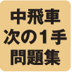 中飛車次の1手問題集